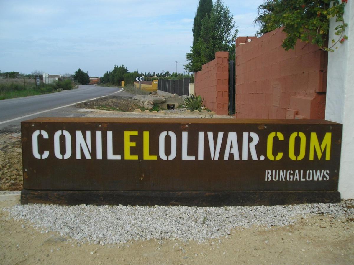 El Olivar De Roche Viejo Conil De La Frontera Luaran gambar