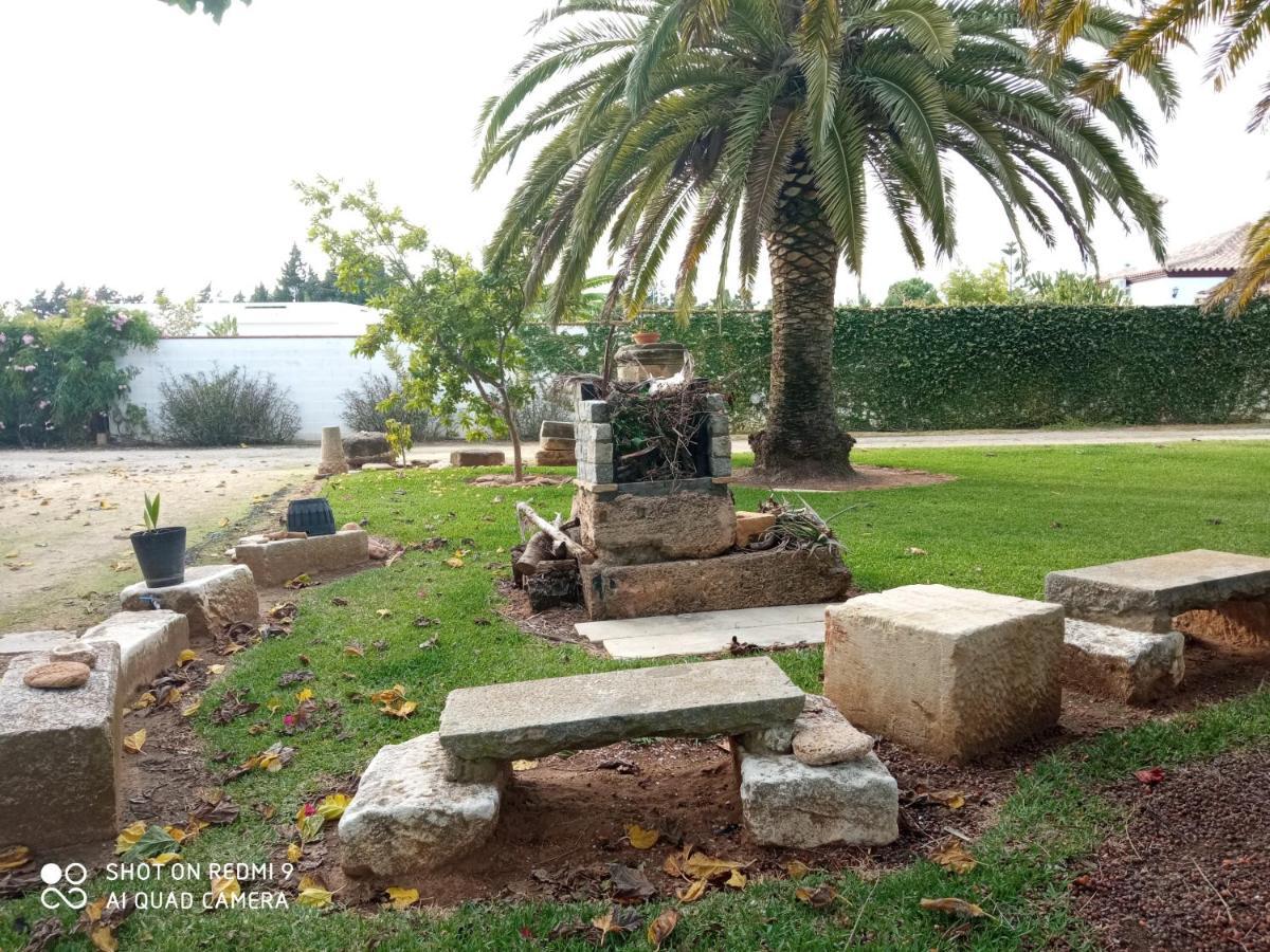 El Olivar De Roche Viejo Conil De La Frontera Luaran gambar