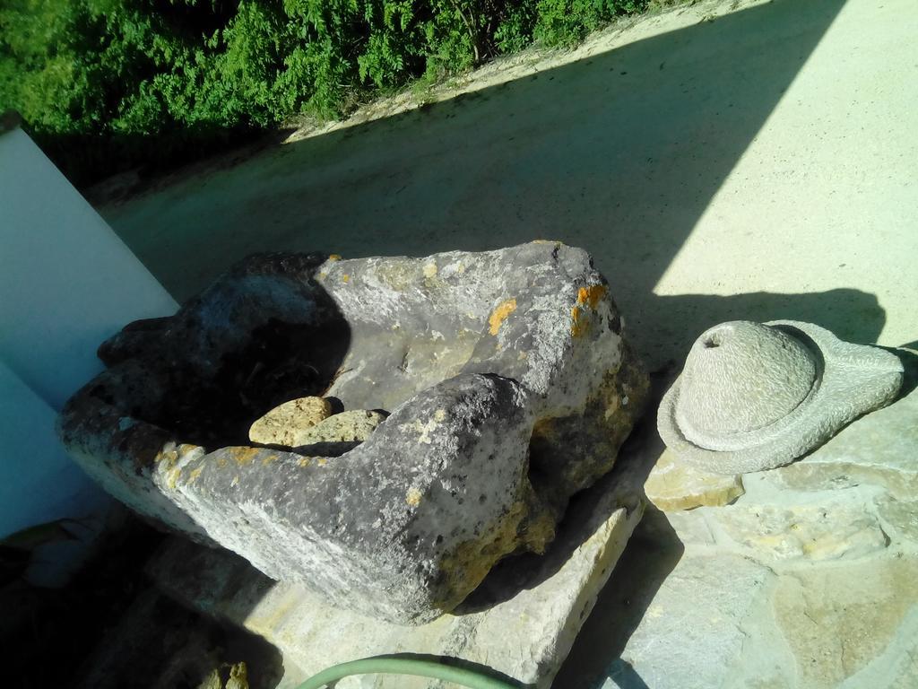 El Olivar De Roche Viejo Conil De La Frontera Luaran gambar