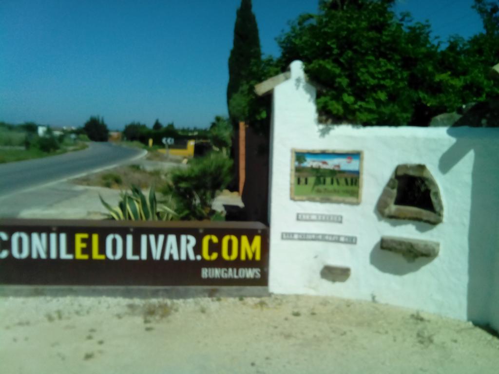 El Olivar De Roche Viejo Conil De La Frontera Luaran gambar