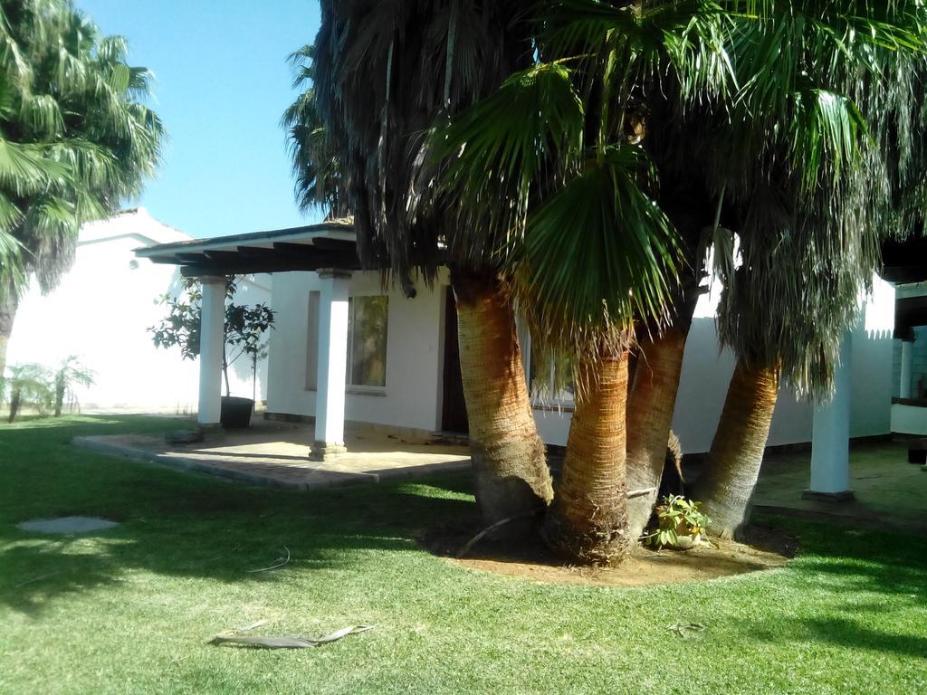 El Olivar De Roche Viejo Conil De La Frontera Luaran gambar