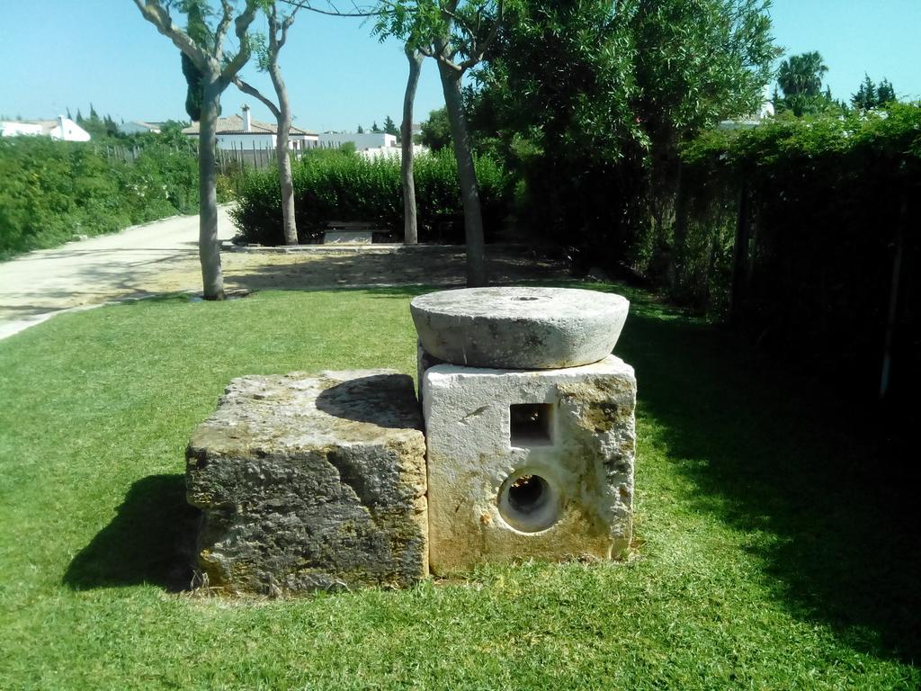 El Olivar De Roche Viejo Conil De La Frontera Luaran gambar