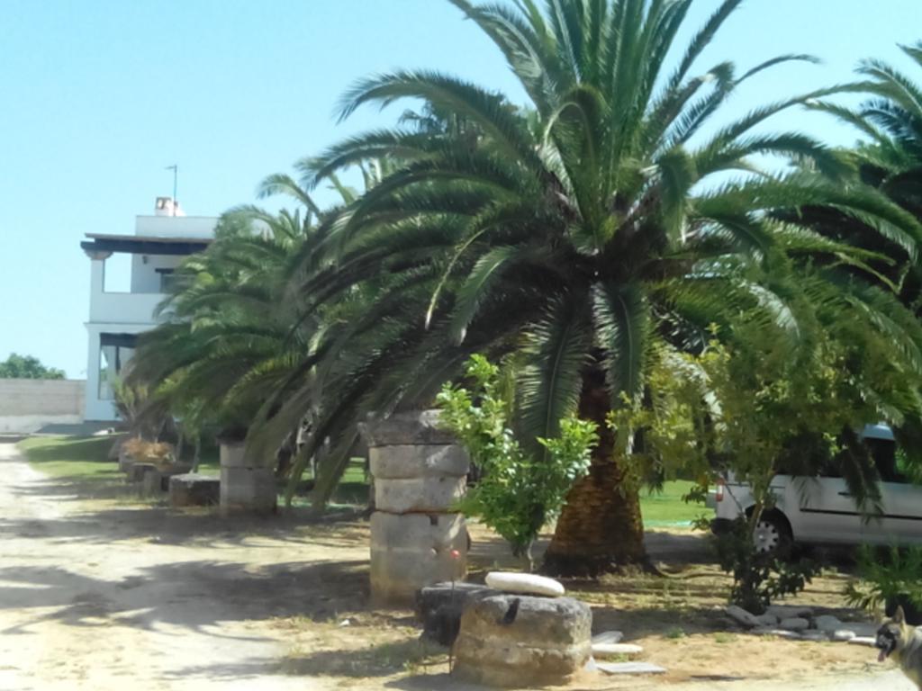 El Olivar De Roche Viejo Conil De La Frontera Luaran gambar