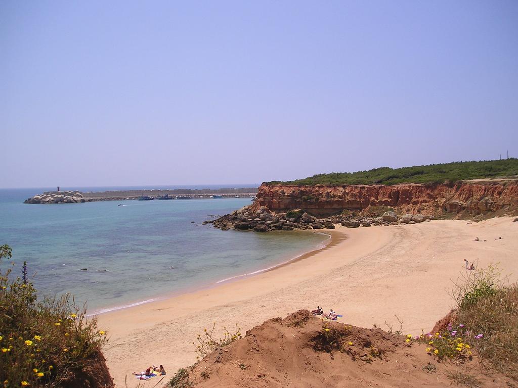 El Olivar De Roche Viejo Conil De La Frontera Luaran gambar