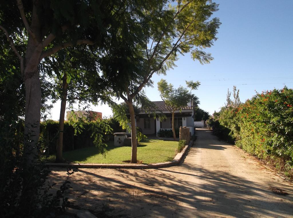 El Olivar De Roche Viejo Conil De La Frontera Luaran gambar