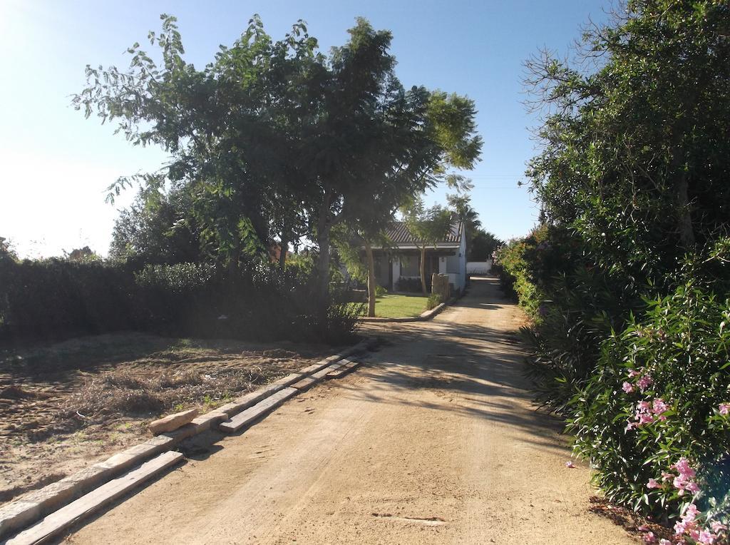 El Olivar De Roche Viejo Conil De La Frontera Luaran gambar